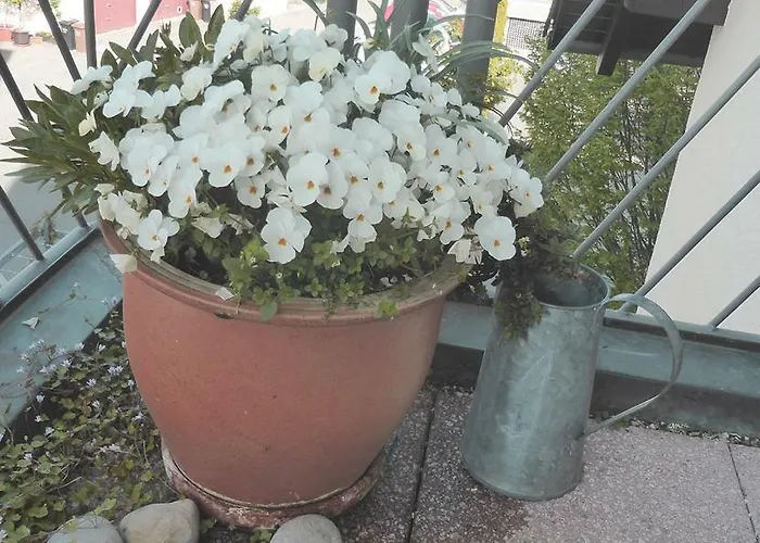 Charlotte Apartmán Kostnice